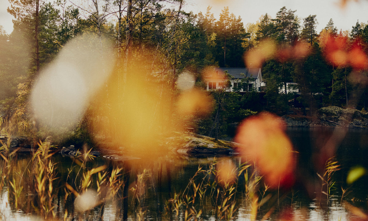A white house among autumn trees across a still lake, seen through blurred orange leaves and reeds.
